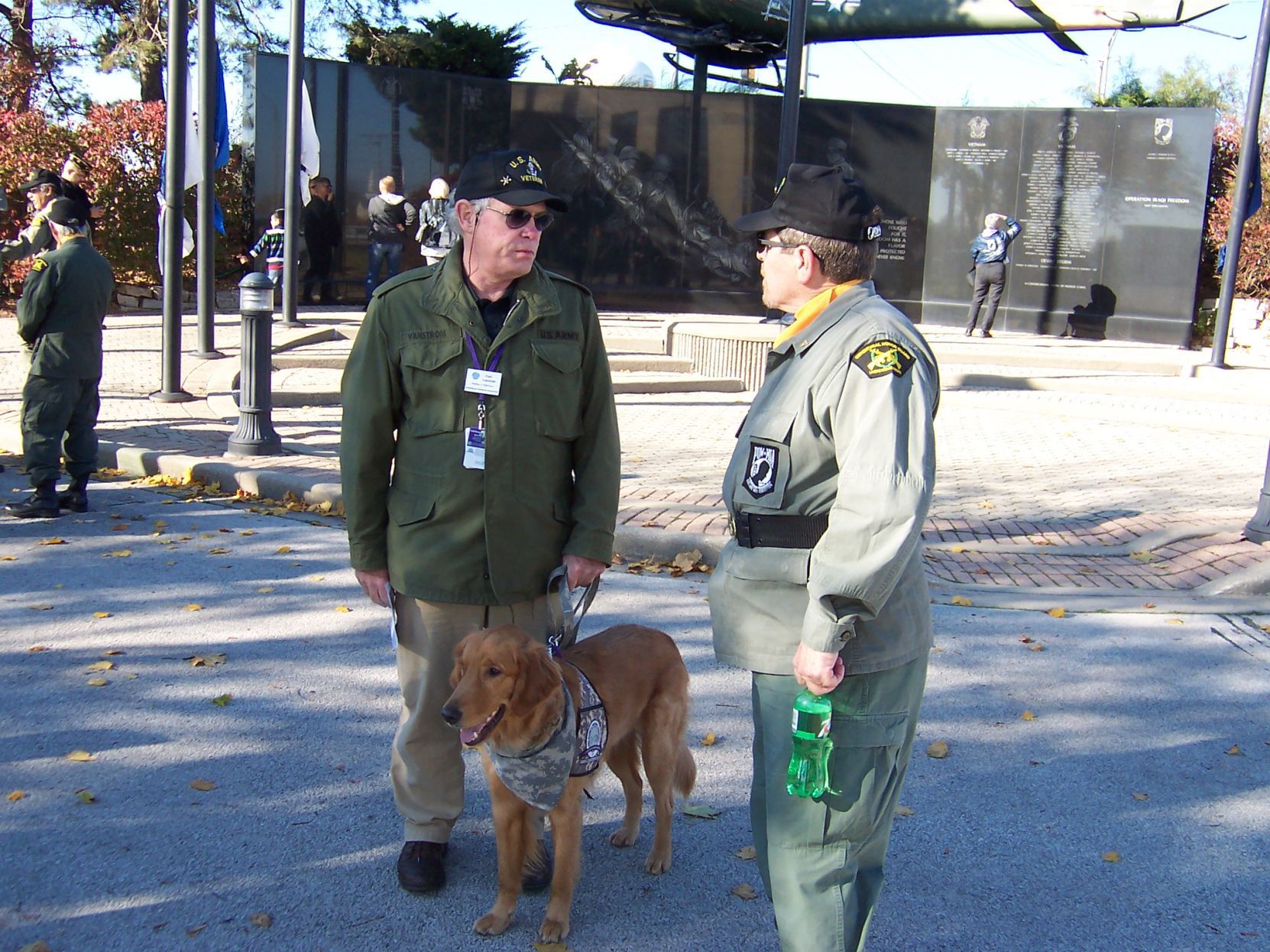Dogs offer vets 'buddy,' calming influence